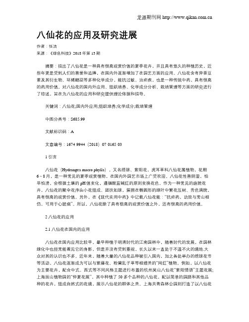 八仙花的应用及研究进展