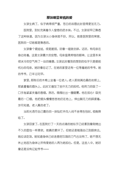 高一作文：那抹略显卑贱的爱作文800字