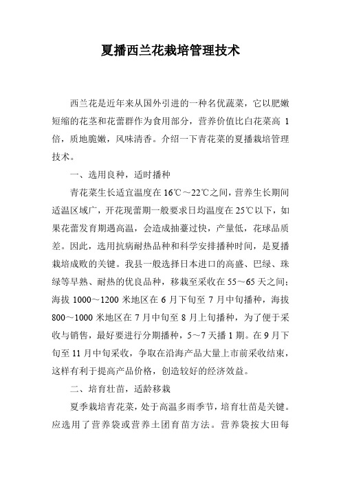 夏播西兰花栽培管理技术