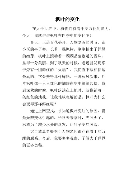 枫叶的变化