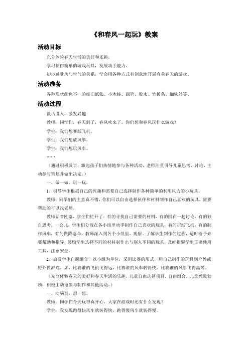 《和春风一起玩》教案3