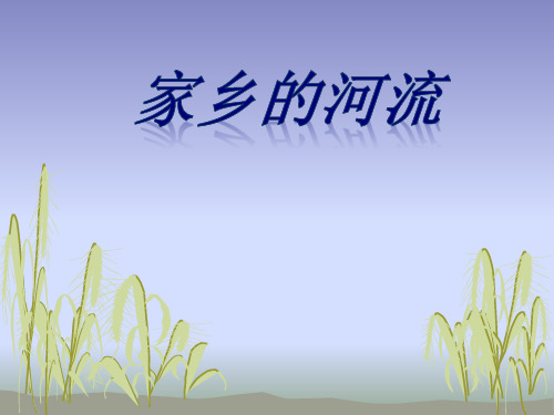家乡的河流