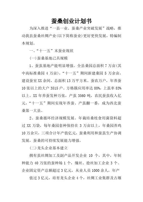 蚕桑创业计划书