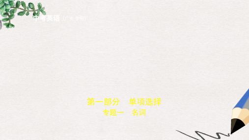 (广东地区)中考英语复习 专题一 名词(试卷部分)课件