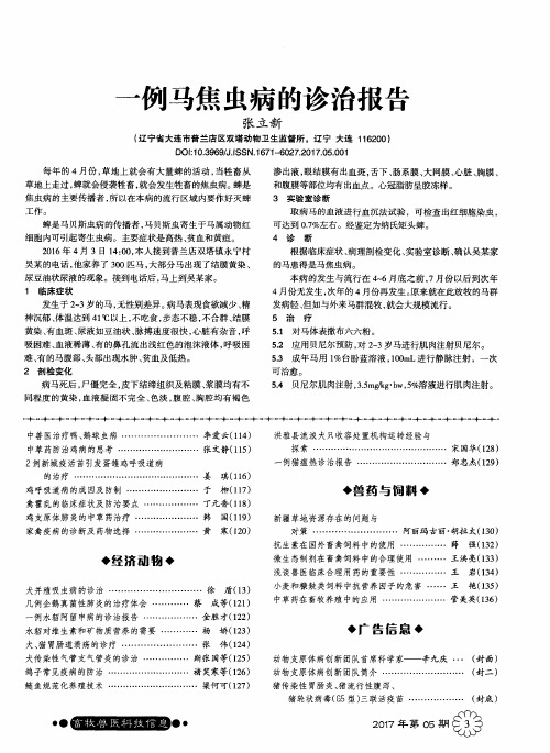 一例马焦虫病的诊治报告