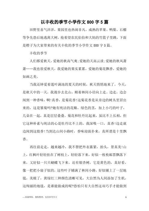 以丰收的季节小学作文800字5篇