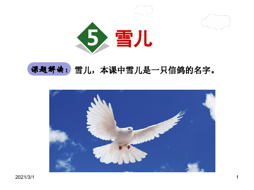 雪儿PPT精品课件