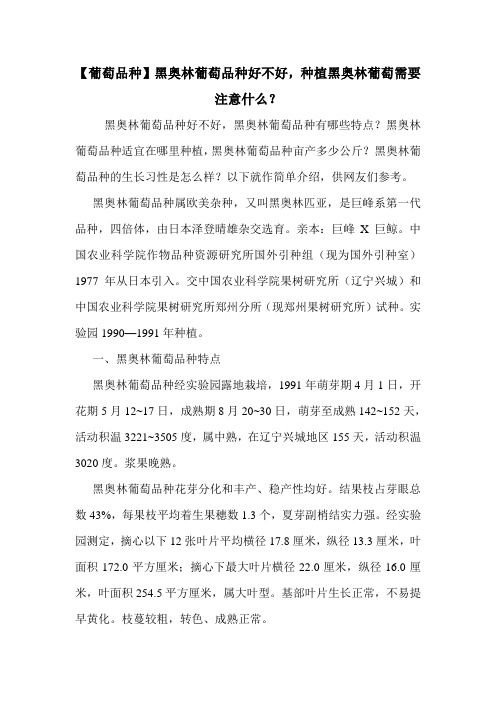 【葡萄品种】黑奥林葡萄品种好不好,种植黑奥林葡萄需要注意什么？