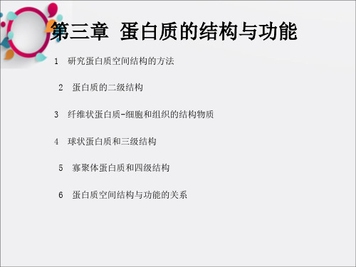 蛋白质的结构与功能(3)