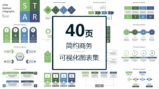 40页简约商务STAR可视化图表