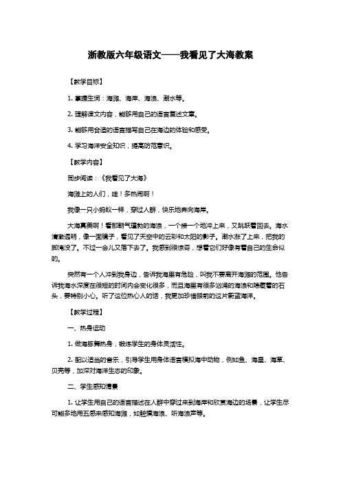 浙教版六年级语文——我看见了大海教案