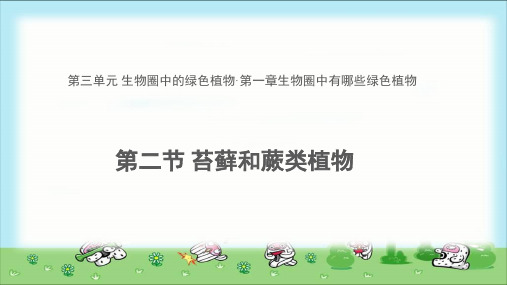 《苔藓和蕨类植物》示范公开课教学课件【六年级生物下册鲁科版五四学制】