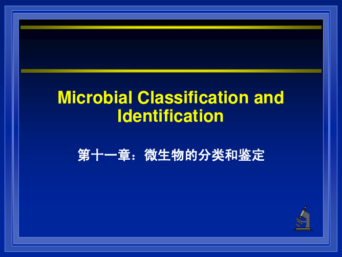 微生物学kejian11