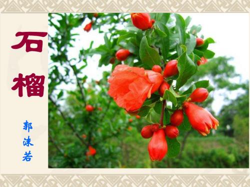 语文版初中语文七年级下册《石榴》课件
