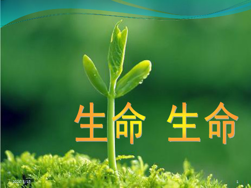 19、生命生命概述