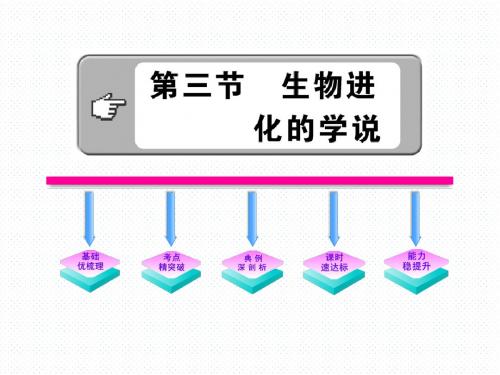 苏教版八年级生物上册第十六章第三节 生物进化的学说课件(共39张PPT)