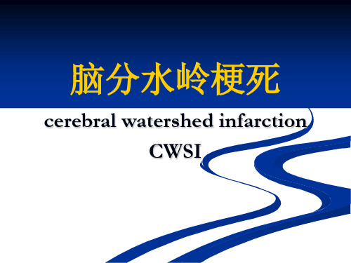 分水岭梗死 