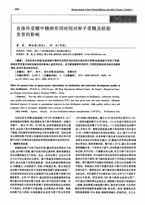在体外受精中精卵作用时间对卵子受精及胚胎发育的影响