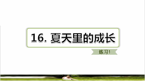 部编版六年级语文上册第五单元第16课《夏天里的成长》练习课件