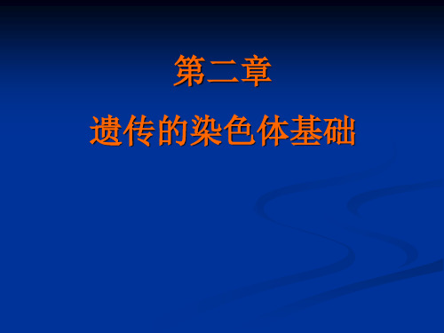 不同生物物种的染色体数目不同