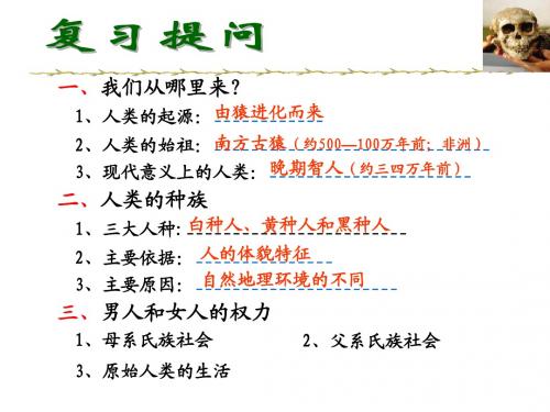 北师大版历史八下 第17课 大河流域的文明曙光