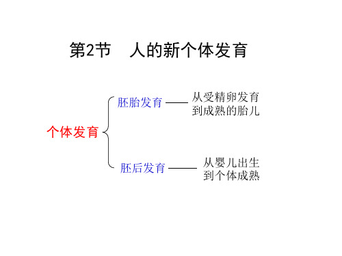 八年级生物人的新个体发育2(教学课件2019)
