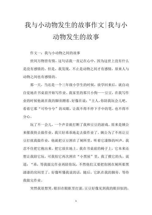 我与小动物发生的故事作文-我与小动物发生的故事