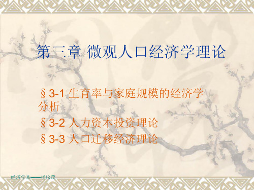 第三章-微观人口经济学理论精品PPT课件