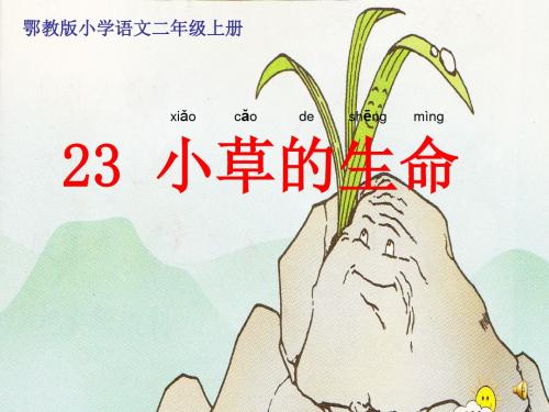 小草的生命