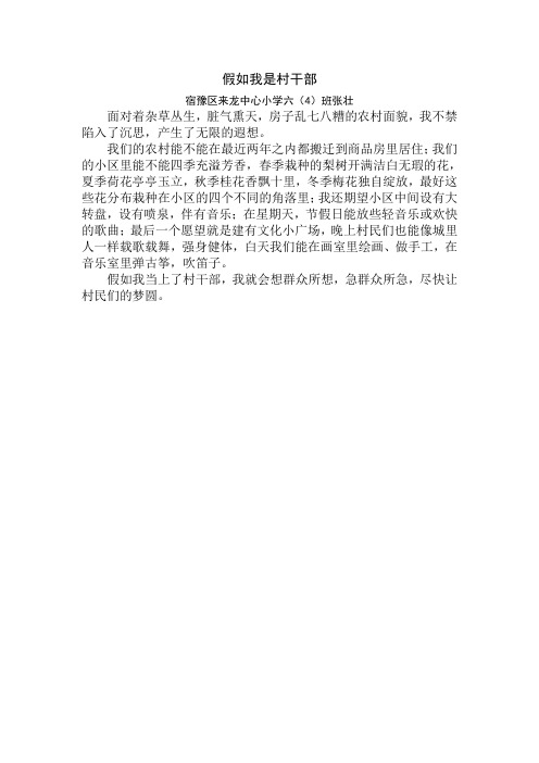 假如我是村干部