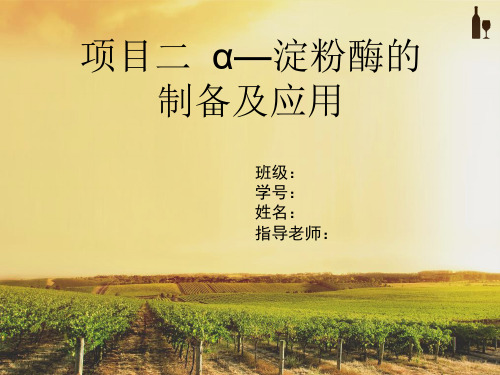 α-淀粉酶的制备及应用