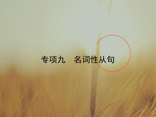 2018高考英语北师大版一轮复习参考课件：语法专项9 名词性从句