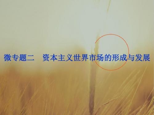 2018年高考历史二轮通史复习课件：模块二 中外近代文明的演进 12 微专题二 精品