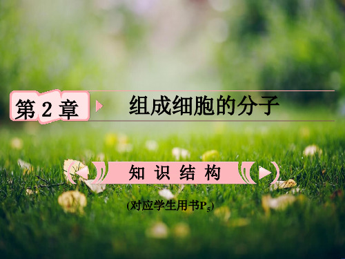 高考生物一轮复习课件 第2章 组成细胞的分子第1讲课件 新人教版必修1