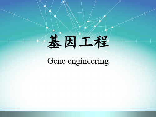 基因工程简介