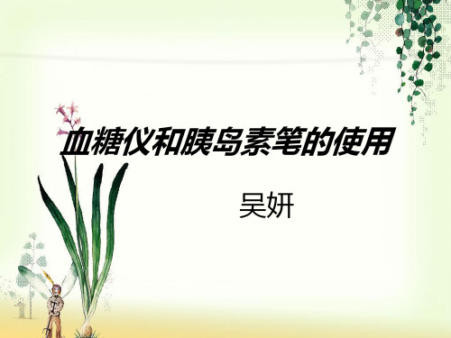 血糖仪和胰岛素笔的使用幻灯片