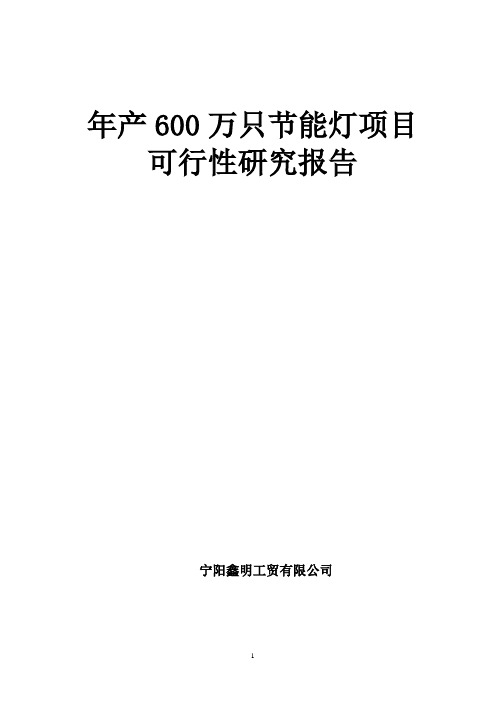 年产600万只节能灯可行性项目可行性研究报告
