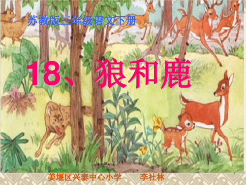 苏教版三年级语文下《狼和鹿》PPT课件