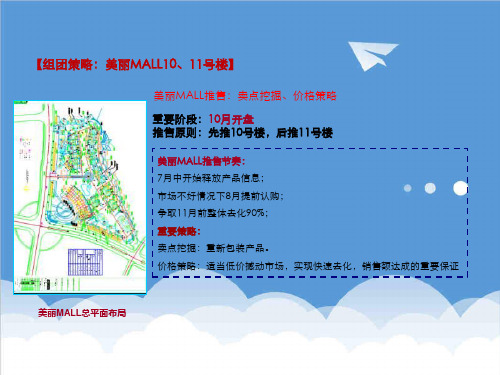 推荐-3AXXXX年鲁能·三亚湾淡季营销方案培训稿下 精品