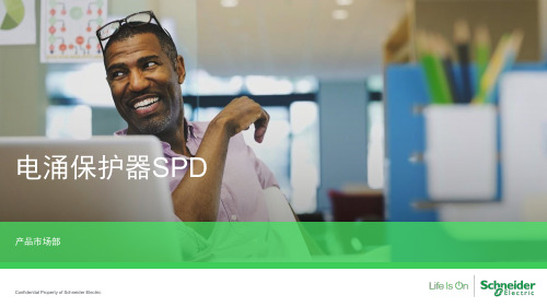 电涌保护器SPD PPT