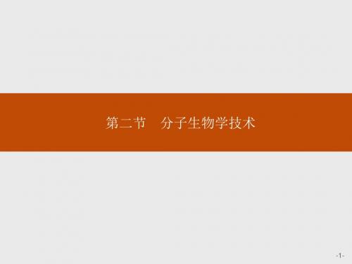 2018-2019学年高二生物苏教版选修1课件：4.2 分子生物学技术x