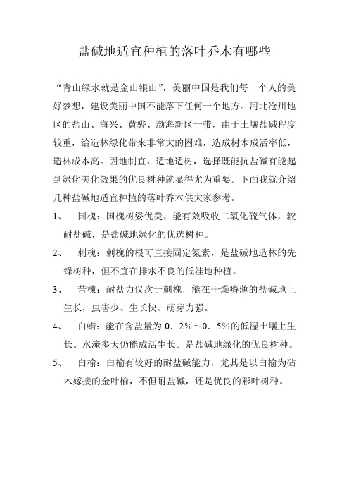 盐碱地适宜种植的落叶乔木有哪些