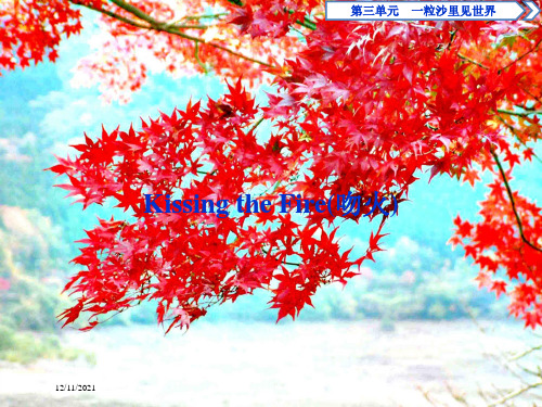 高中语文散文粒沙里见世界kissingthefire吻火《中国现代诗歌散文欣赏语文