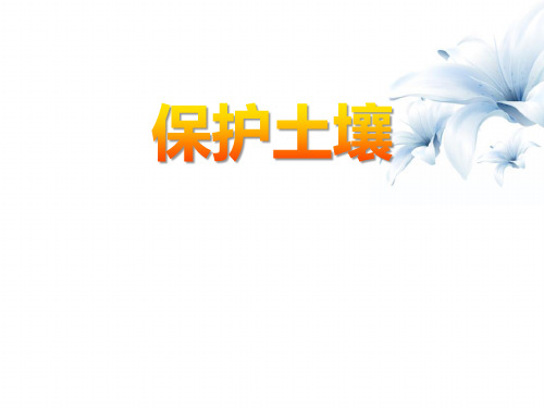 《保护土壤》课件(1) 图文