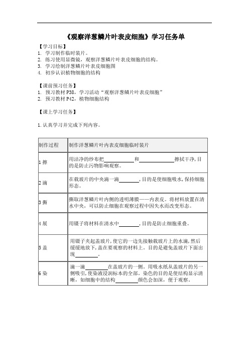 初一生物学(北京版)第三章 生物体的结构 第一节 细胞 观察洋葱鳞片叶表皮细胞-3学习任务单