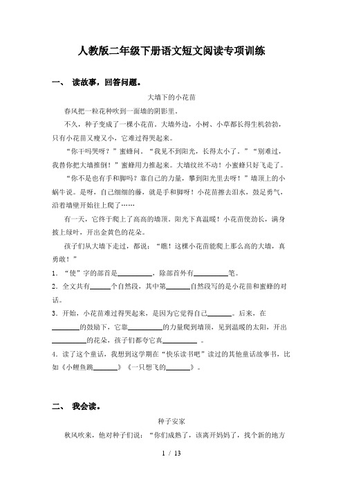 人教版二年级下册语文短文阅读专项训练