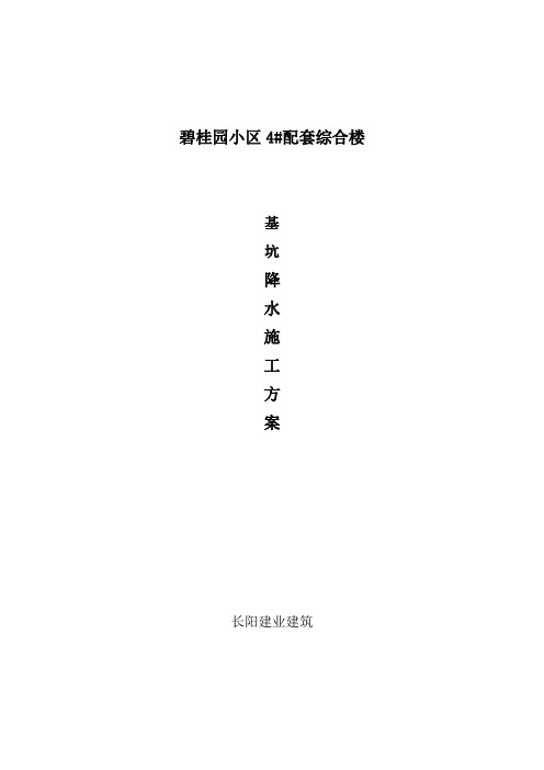 降水安全专项工程施工组织设计方案