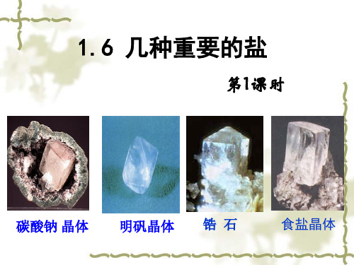 浙教版九年级上册科学几种重要的盐共张PPT