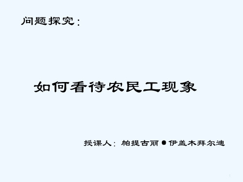 如何看待农民工现象 PPT