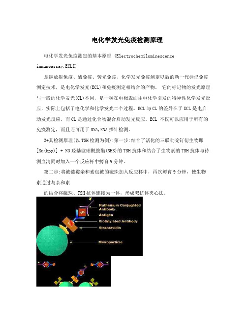 电化学发光免疫检测原理